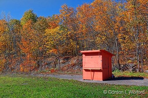 Orange Blueberry Stand_23603.jpg - Photographed near Sharbot Lake, Ontario, Canada.